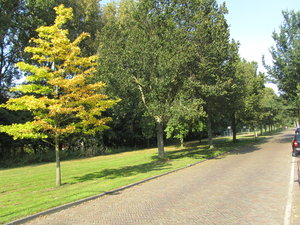De Lignestraat 30