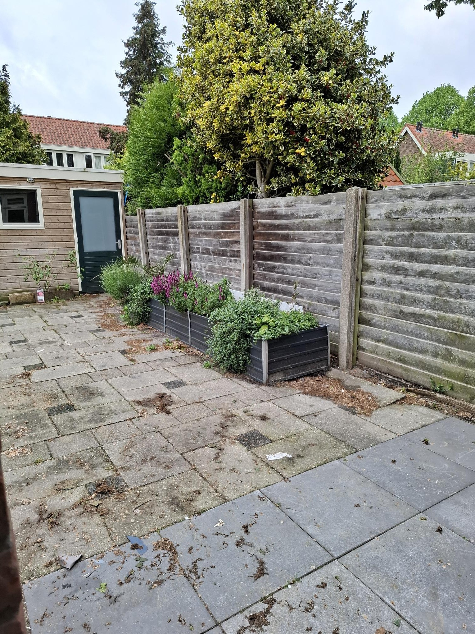 Rozensteinstraat 71