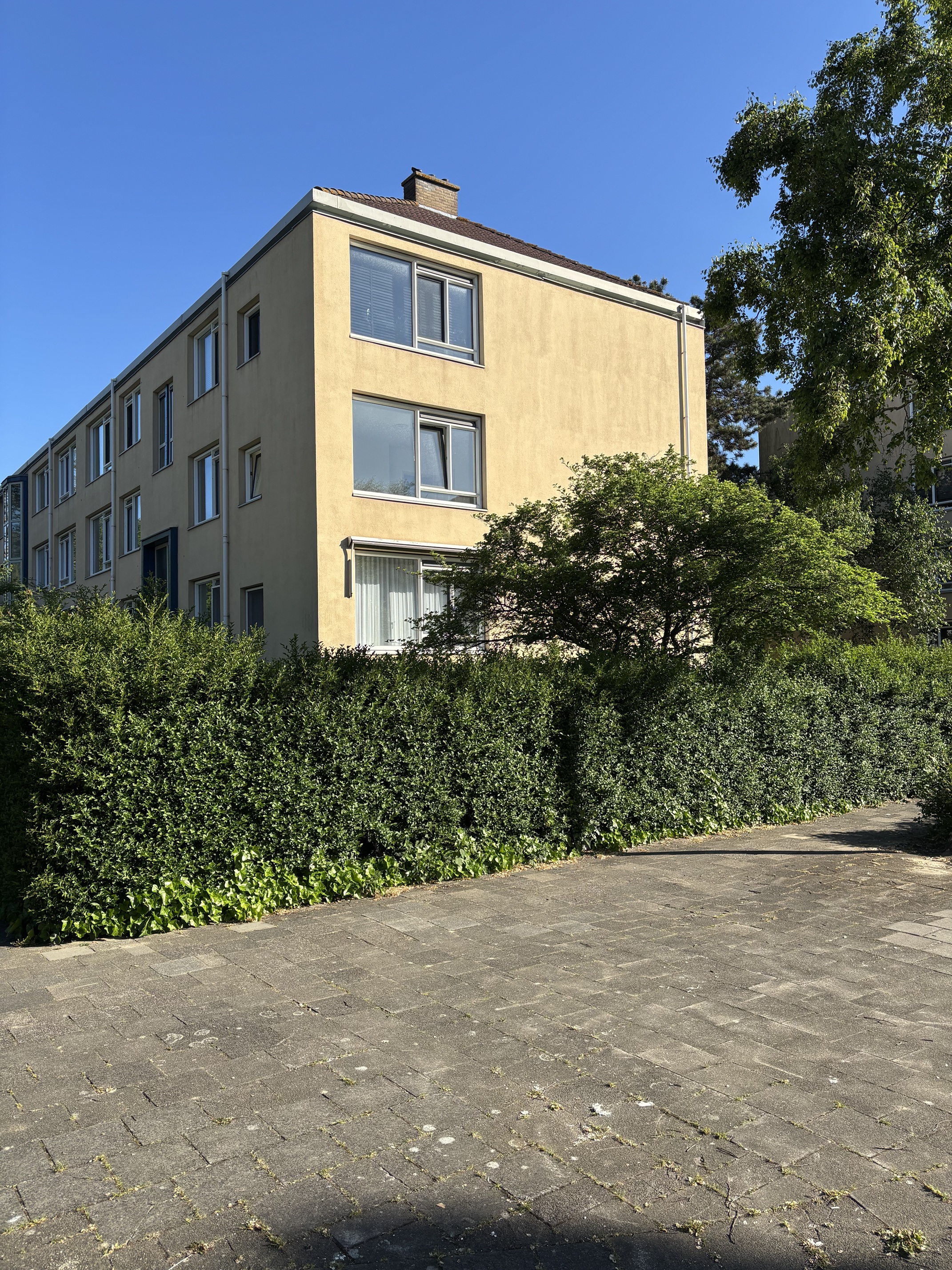 Paukensingel 36