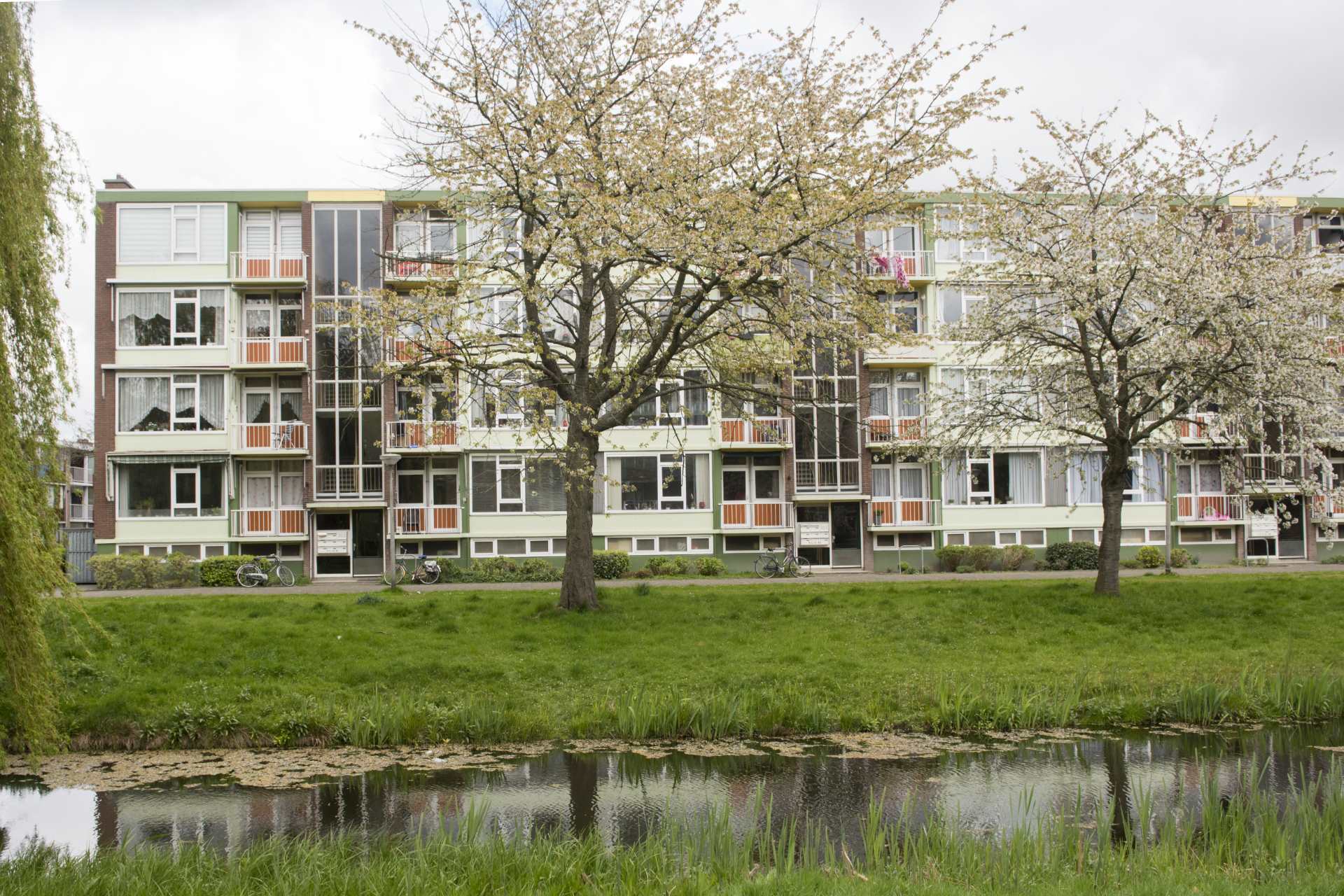 Mouterpad 27