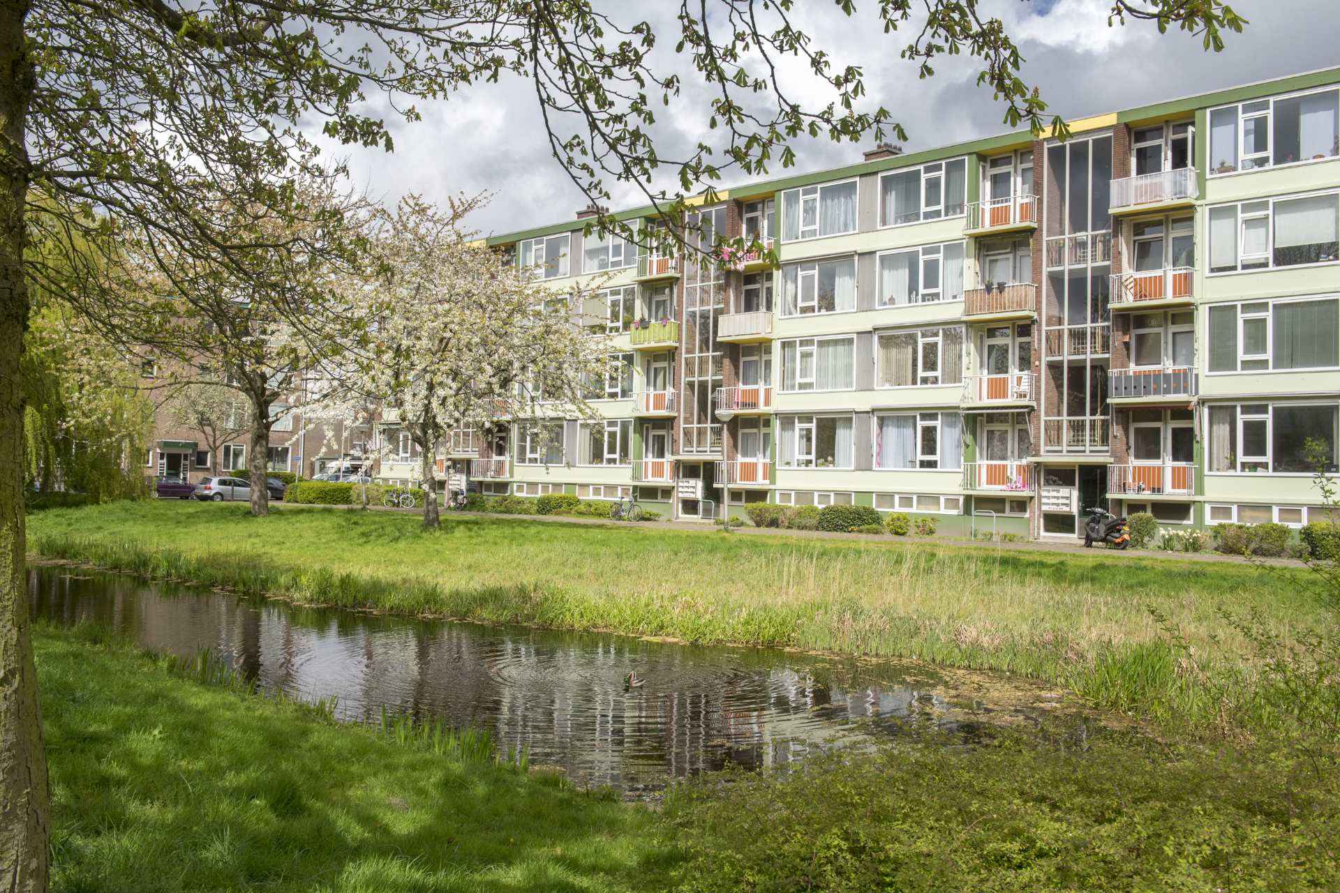 Mouterpad 27
