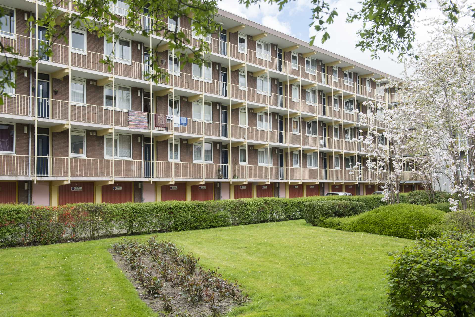 Chirurgijnstraat 48
