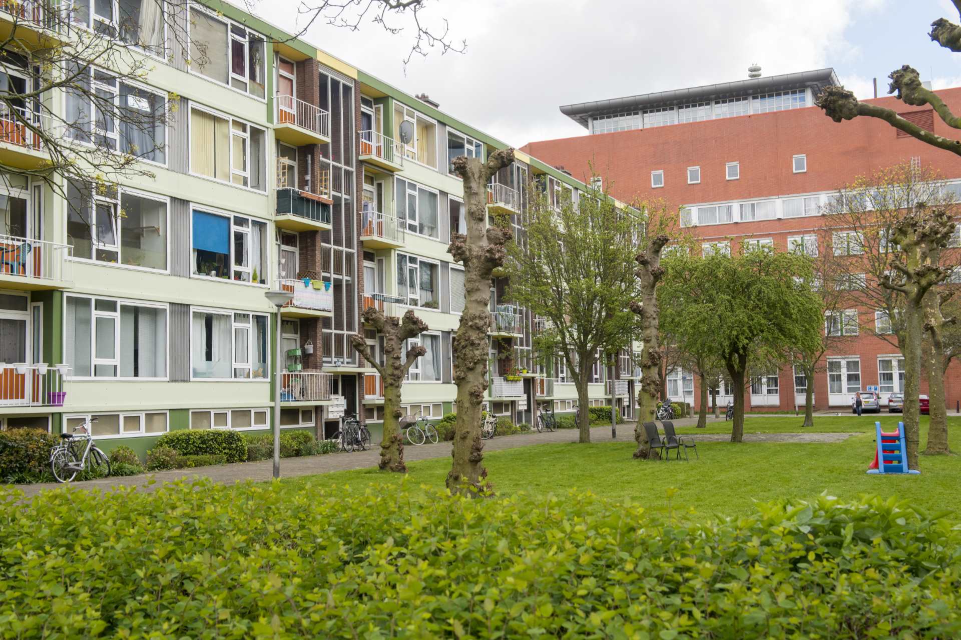 Wijnroeierpad 4