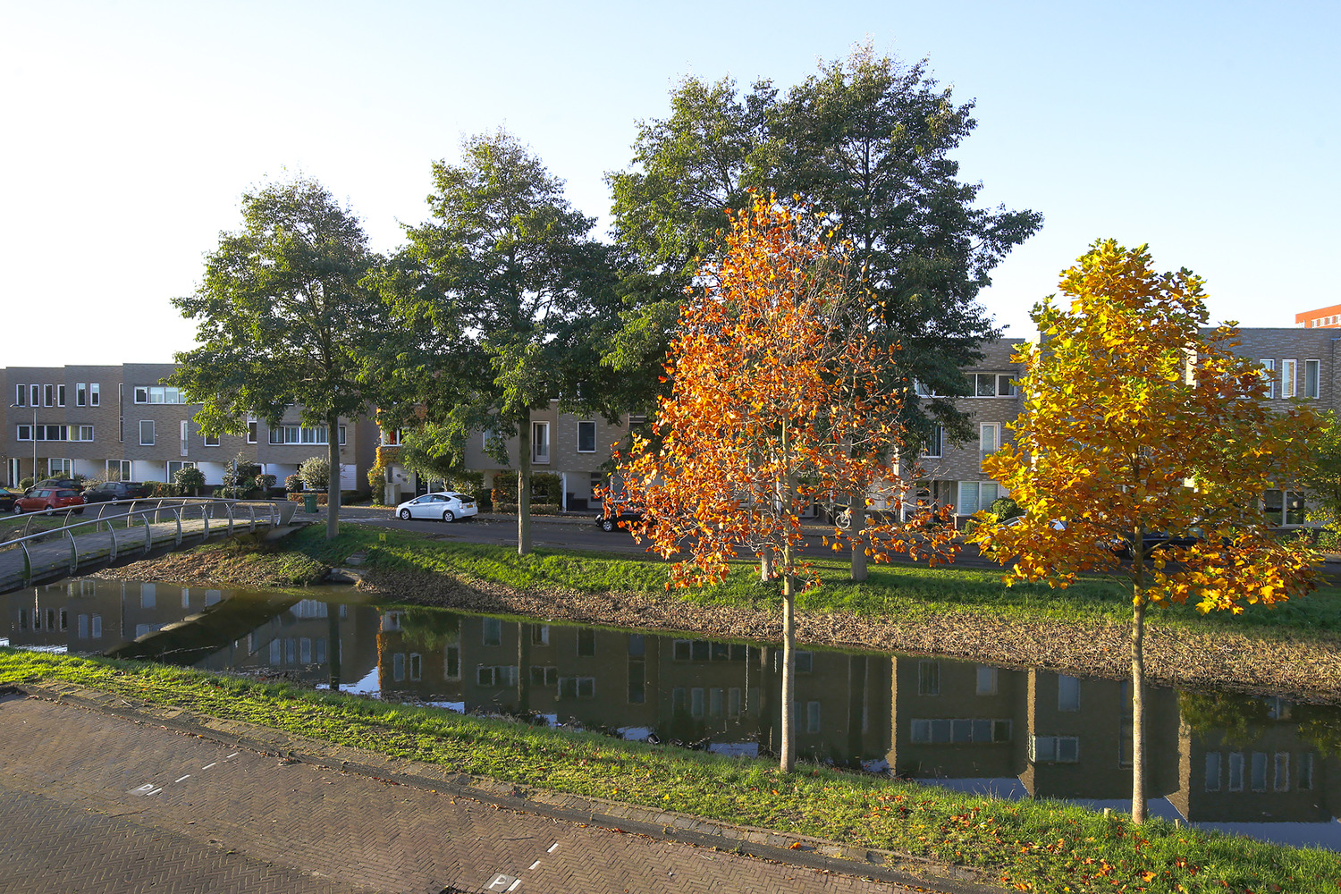 Schelpenhof 107
