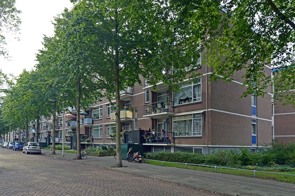 Van Anrooystraat 61, 2551 PZ Den Haag, Nederland