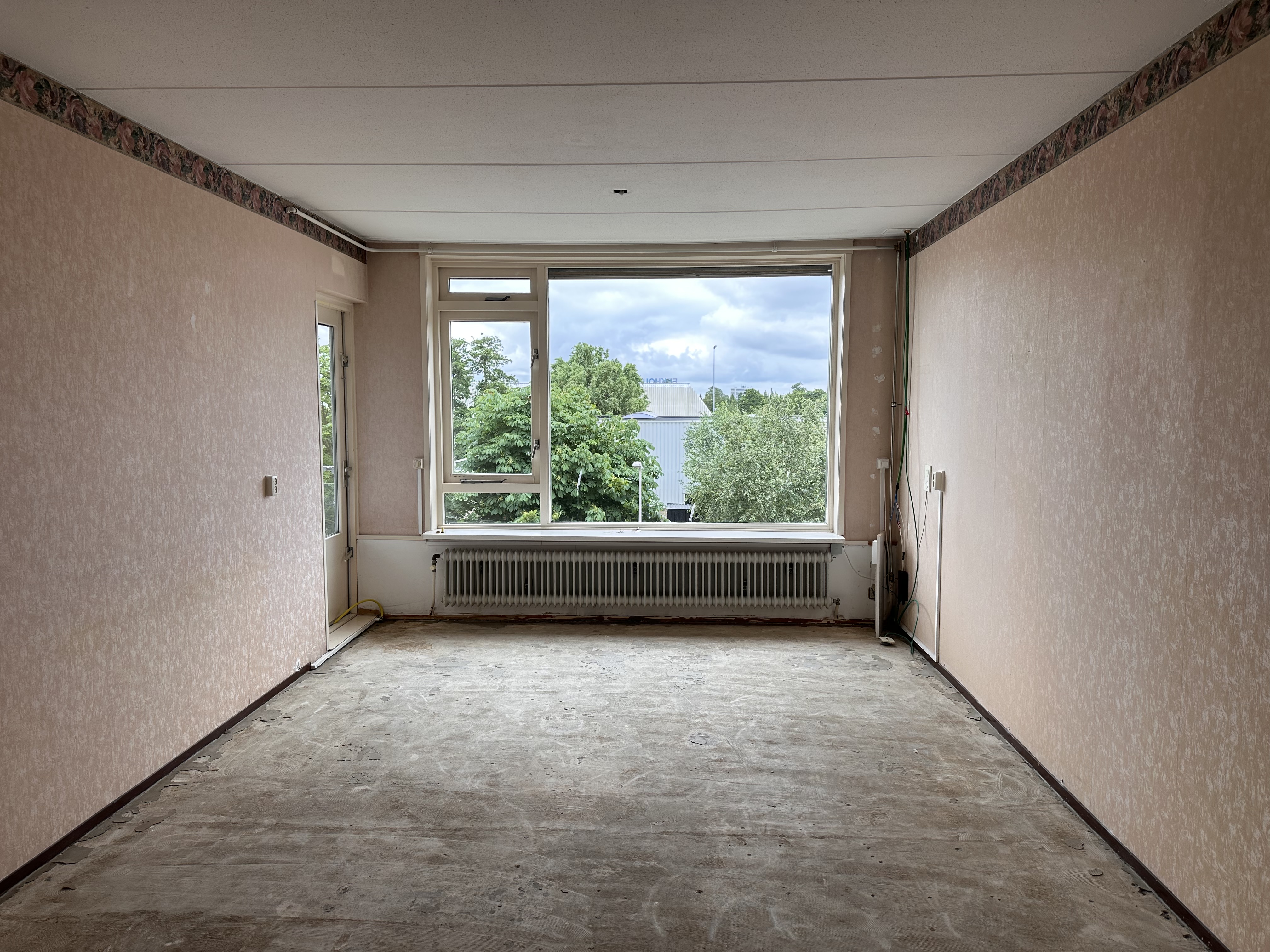 Gele Kwikstaart 38