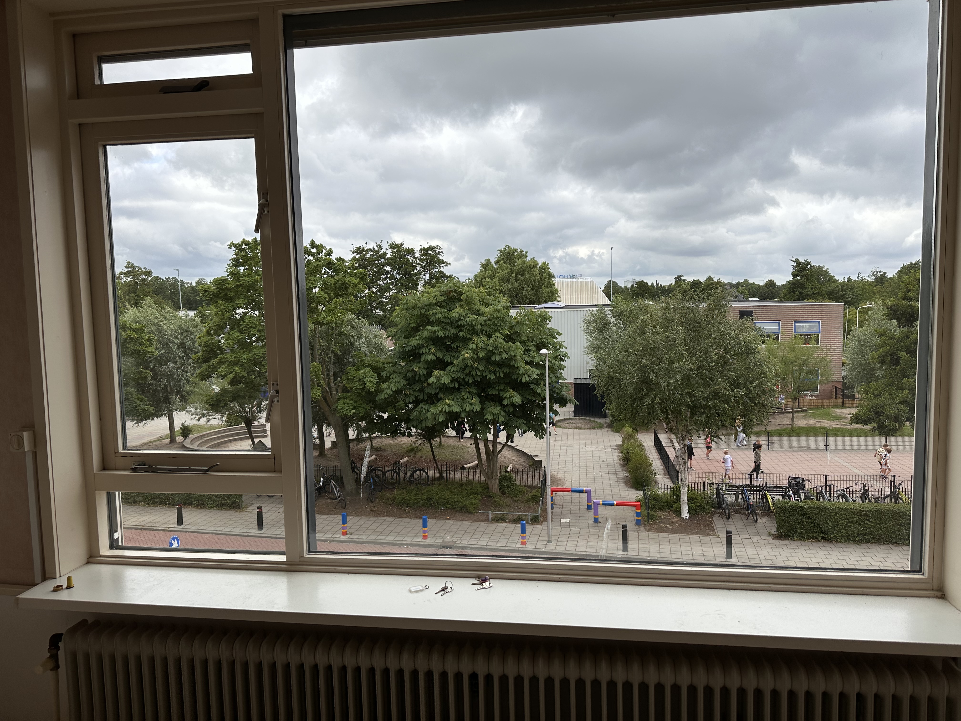 Gele Kwikstaart 38