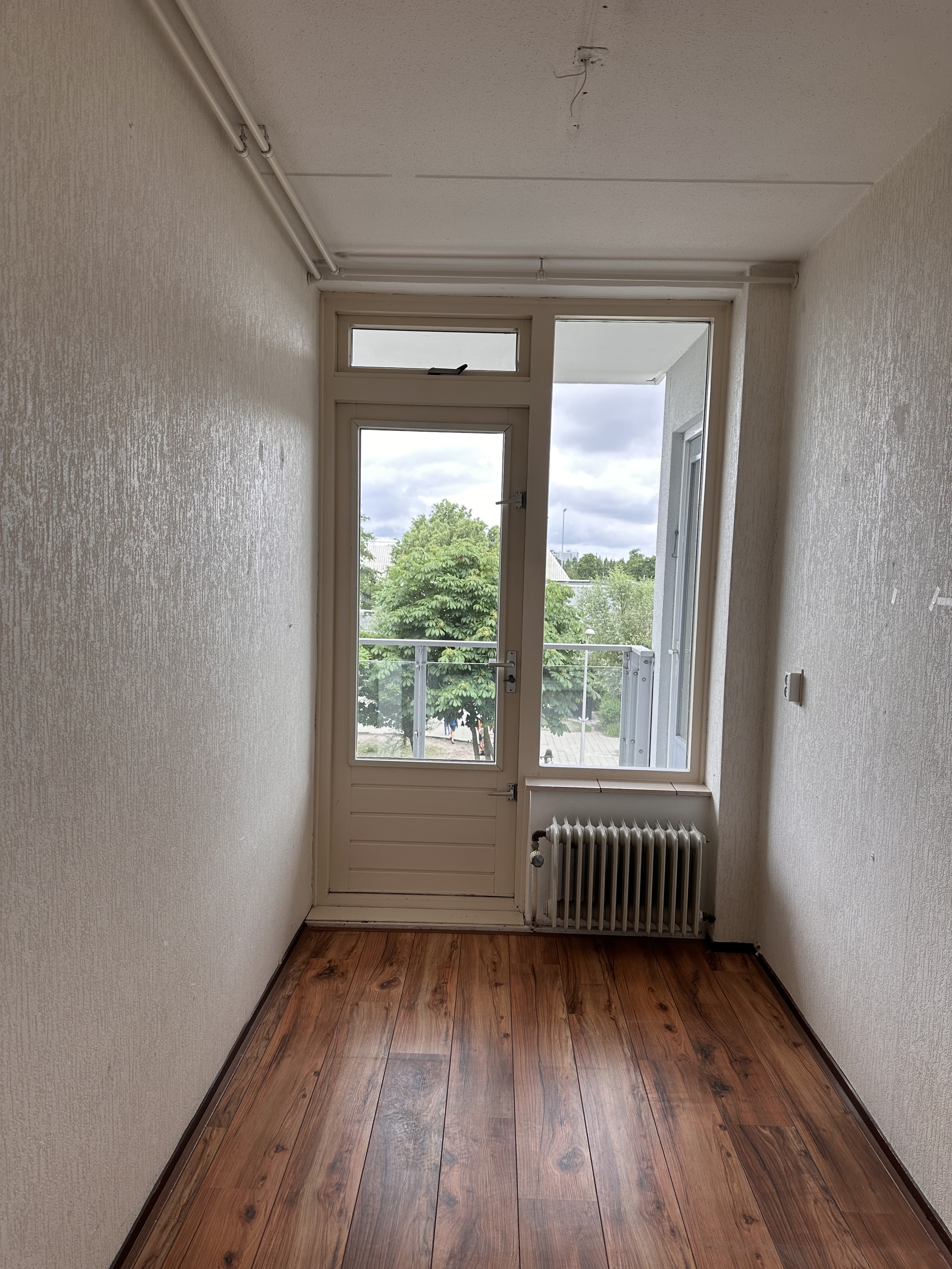 Gele Kwikstaart 38