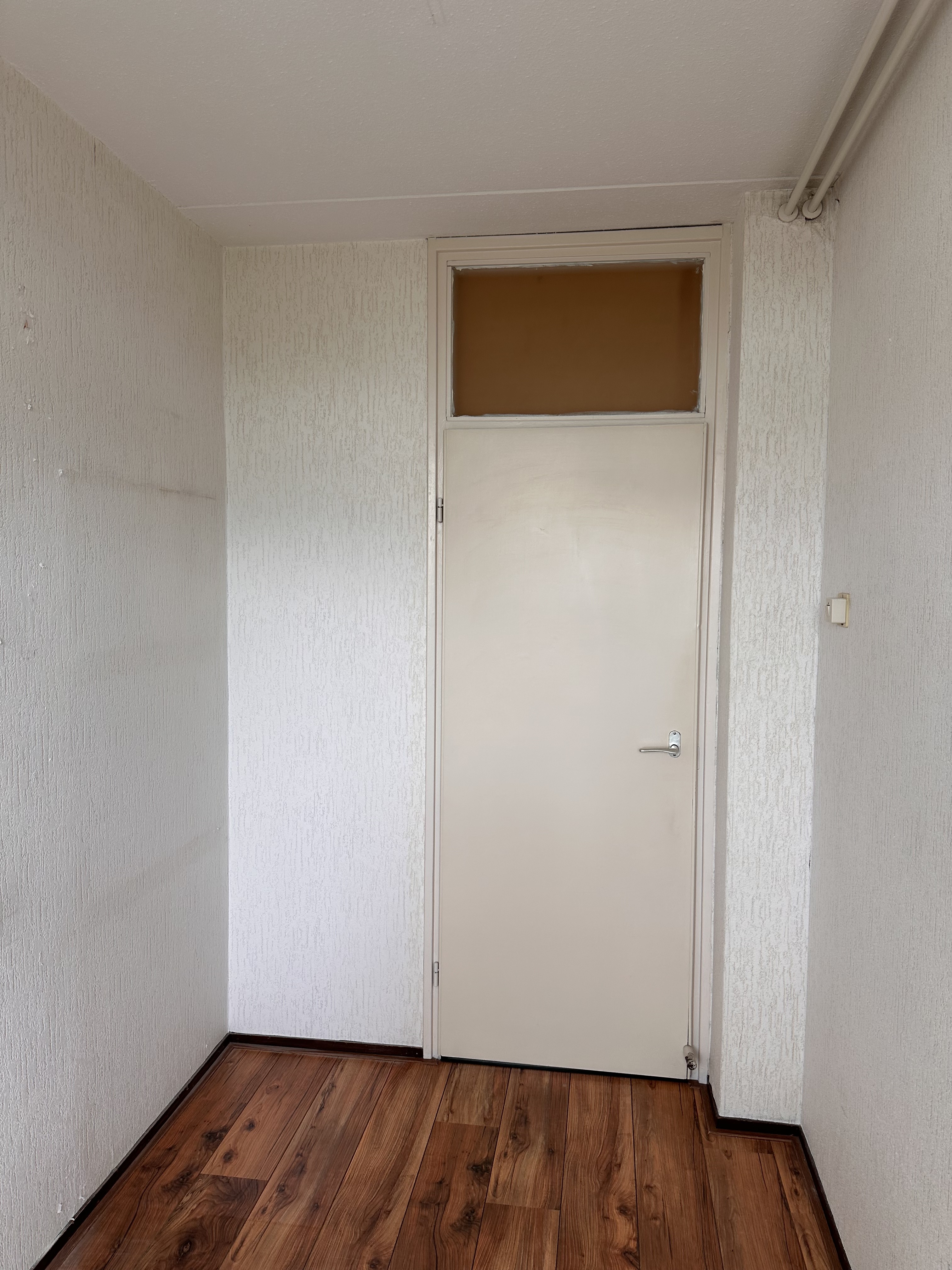 Gele Kwikstaart 38