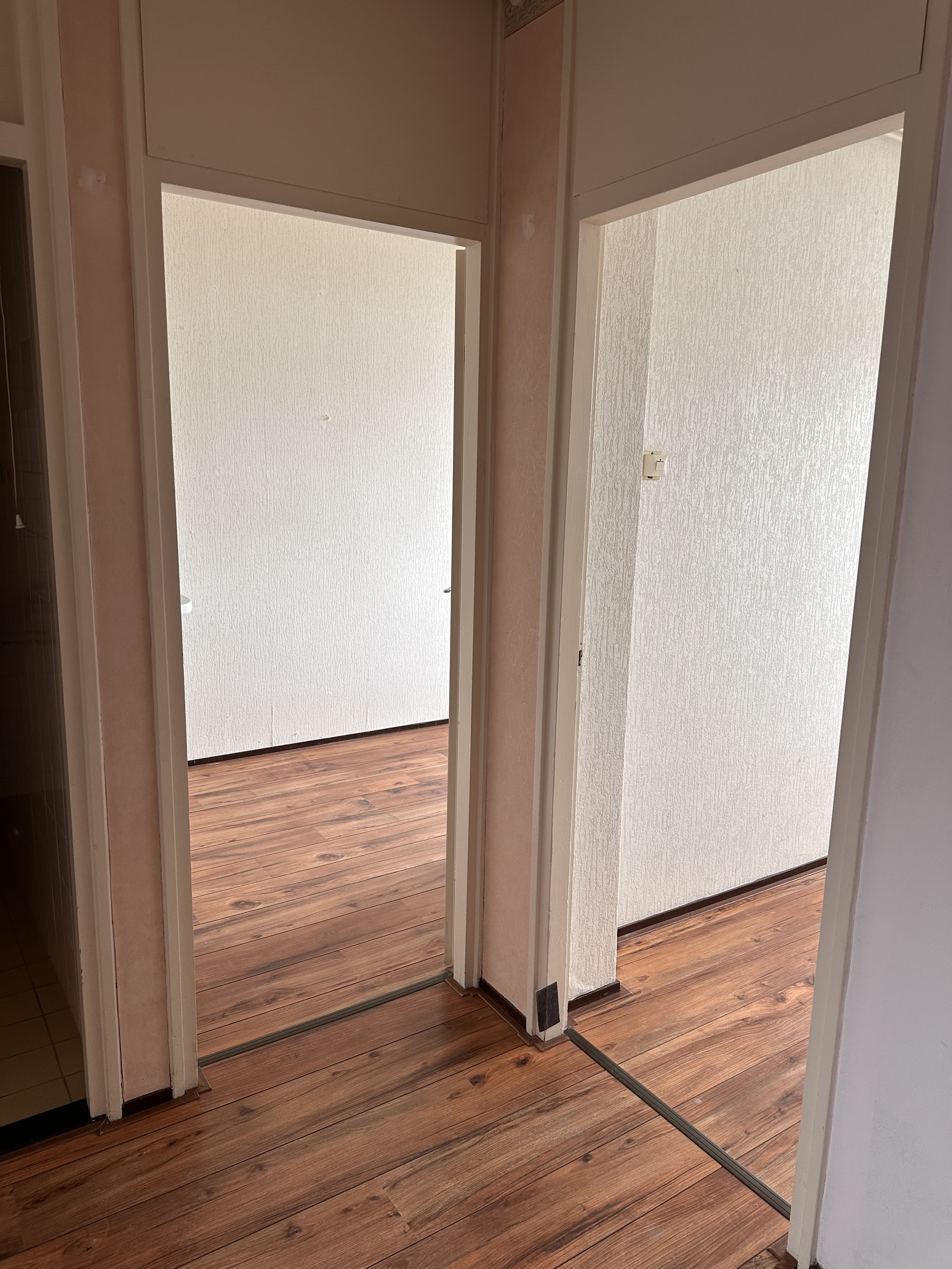 Gele Kwikstaart 38