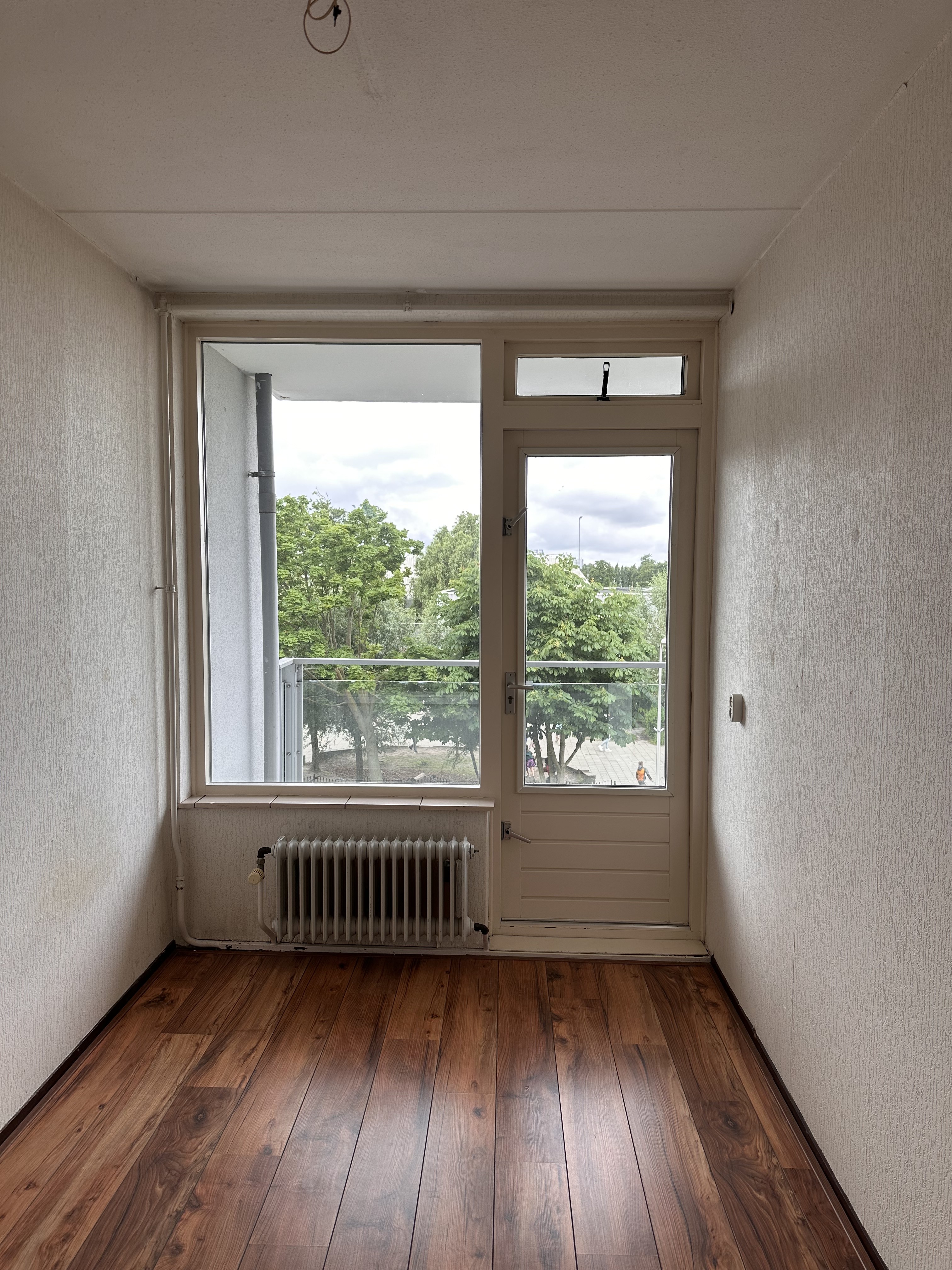 Gele Kwikstaart 38
