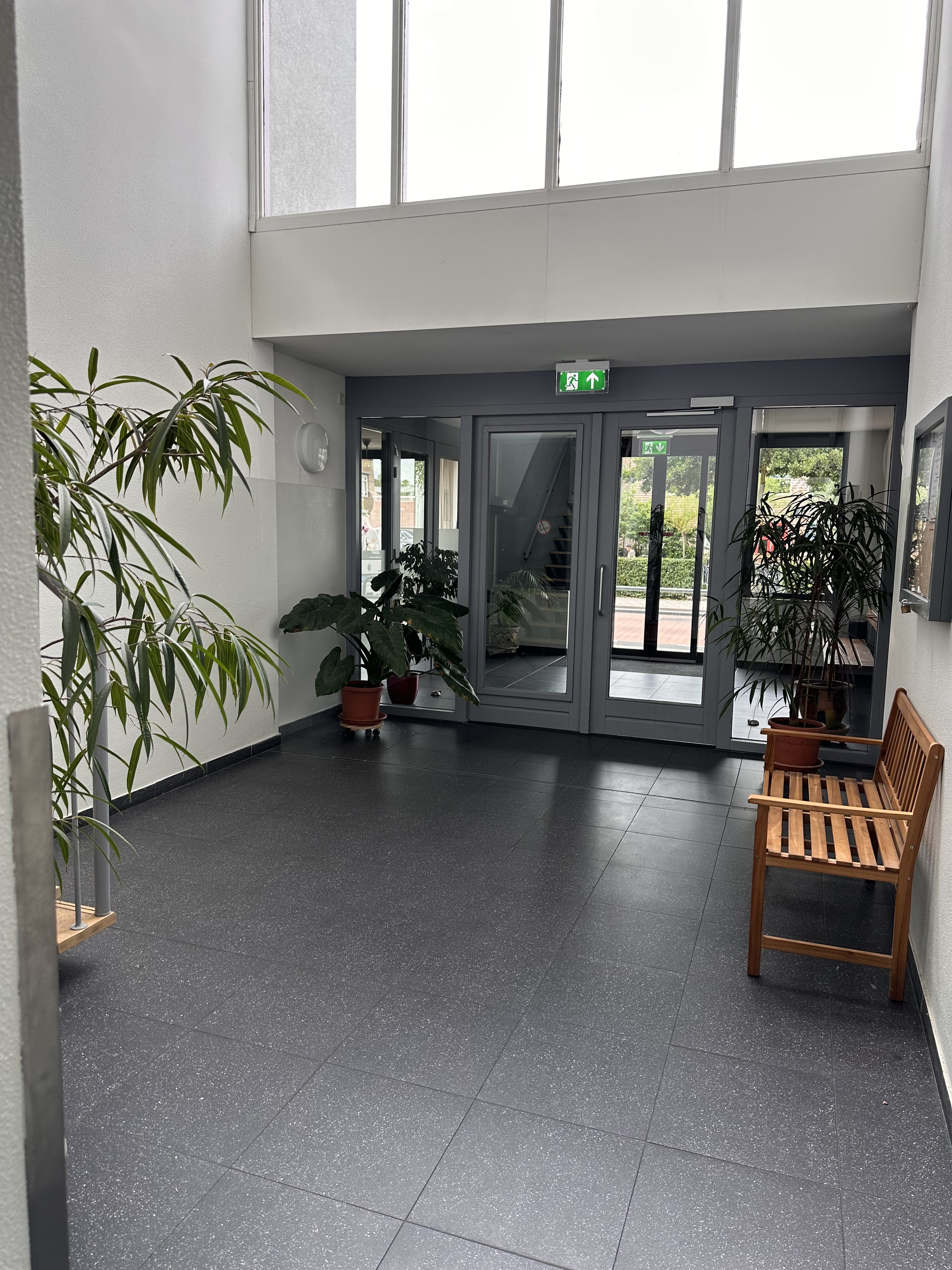 Gele Kwikstaart 38