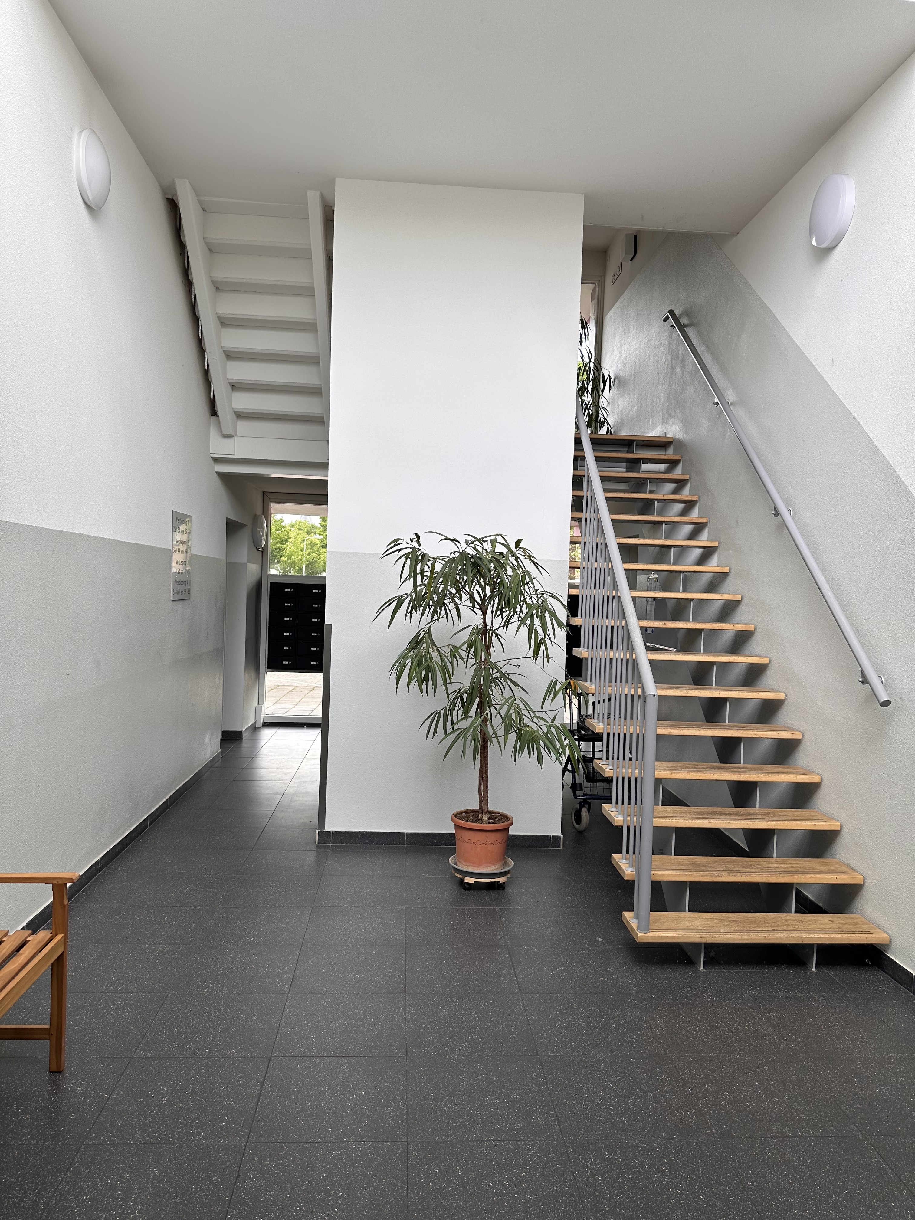 Gele Kwikstaart 38