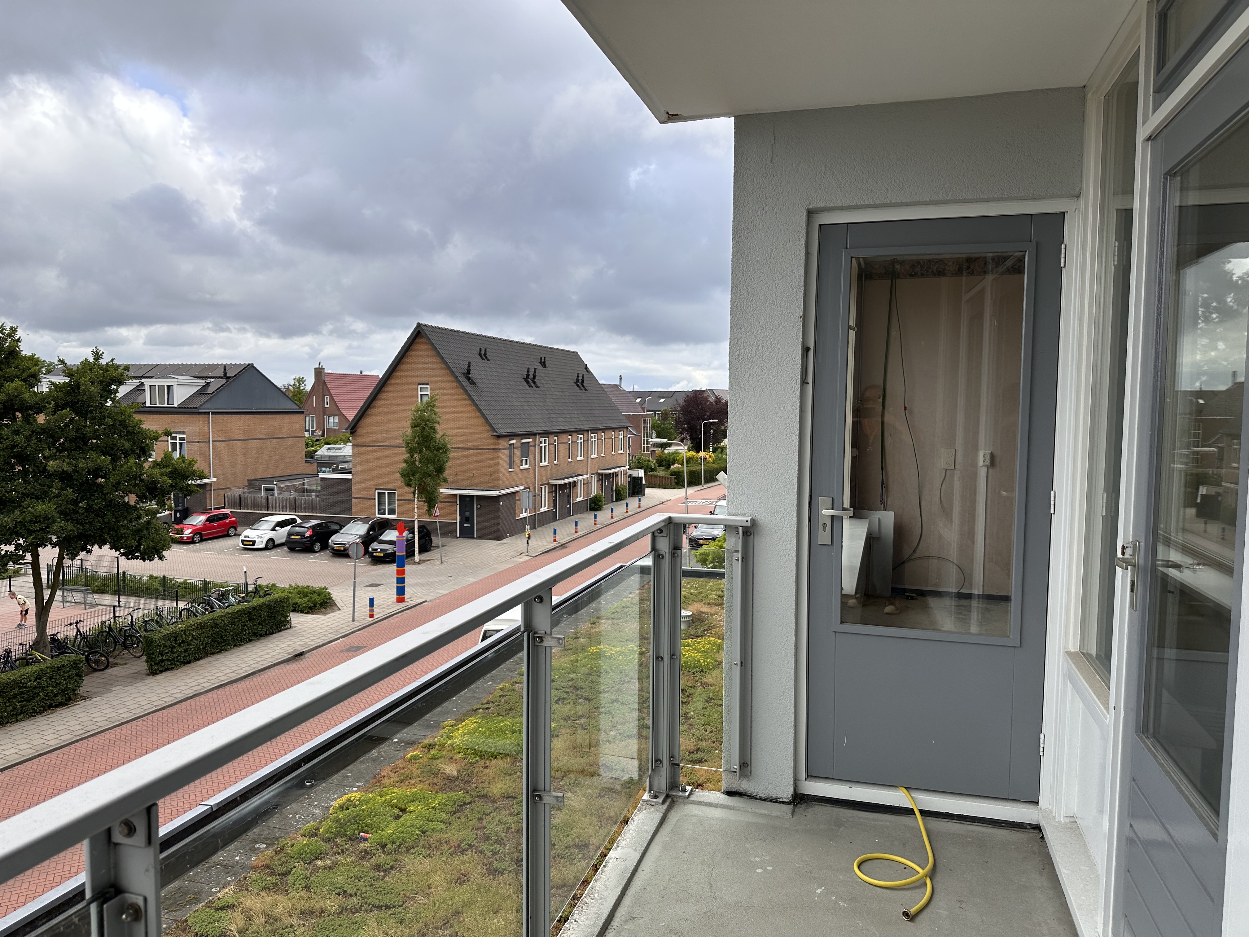 Gele Kwikstaart 38