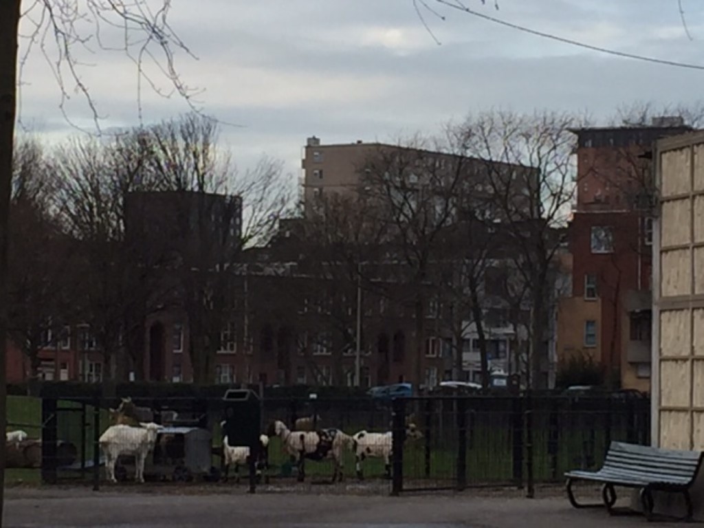 Cromvlietplein 54