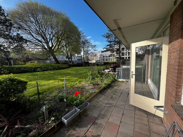 Verdipark 19
