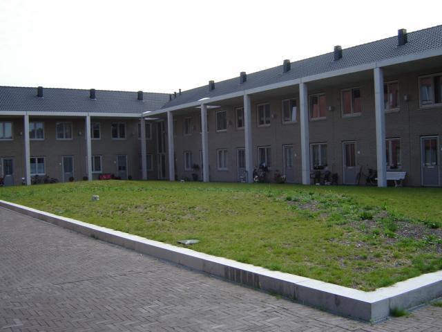 Windlusthof 7