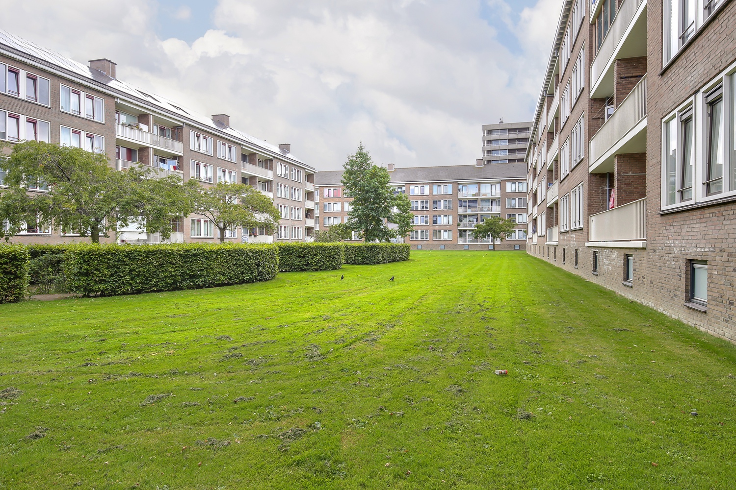 Steenvoordelaan 211