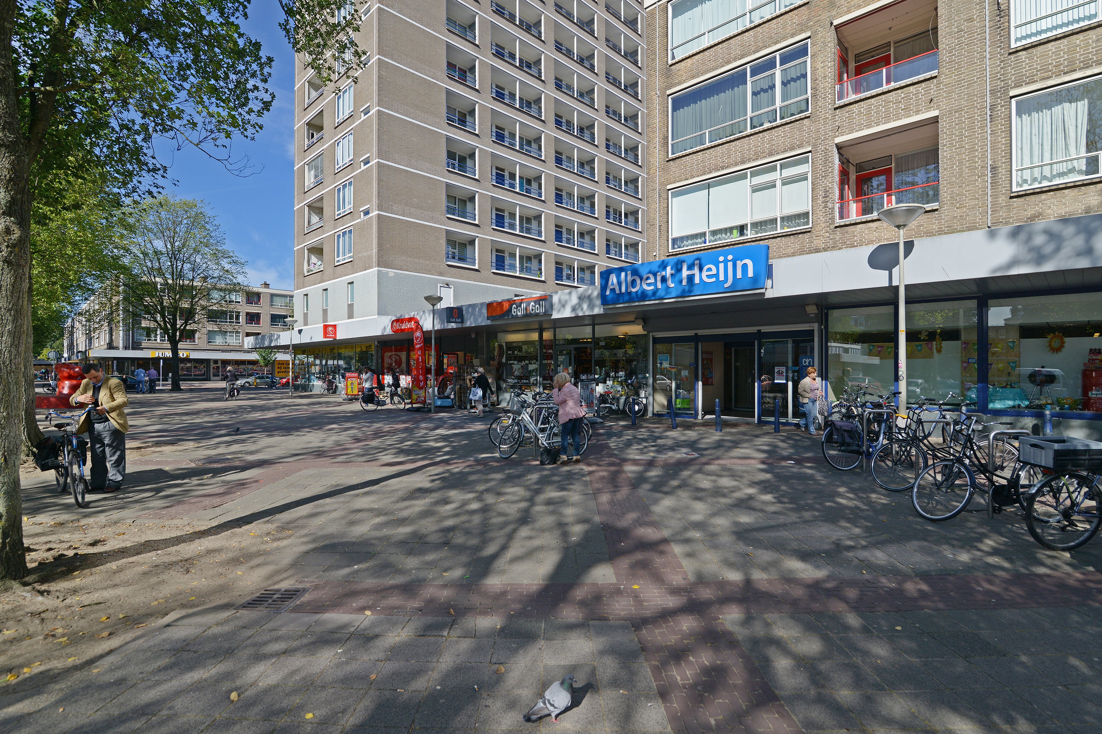 De Dreef 245