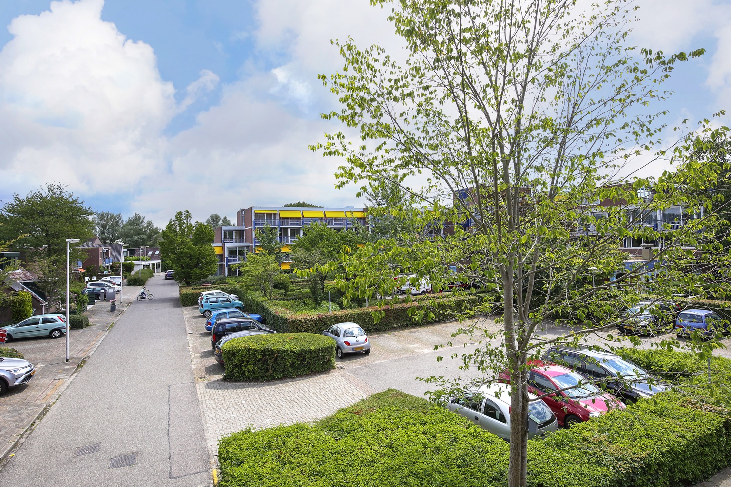 Bergmanstrook 254