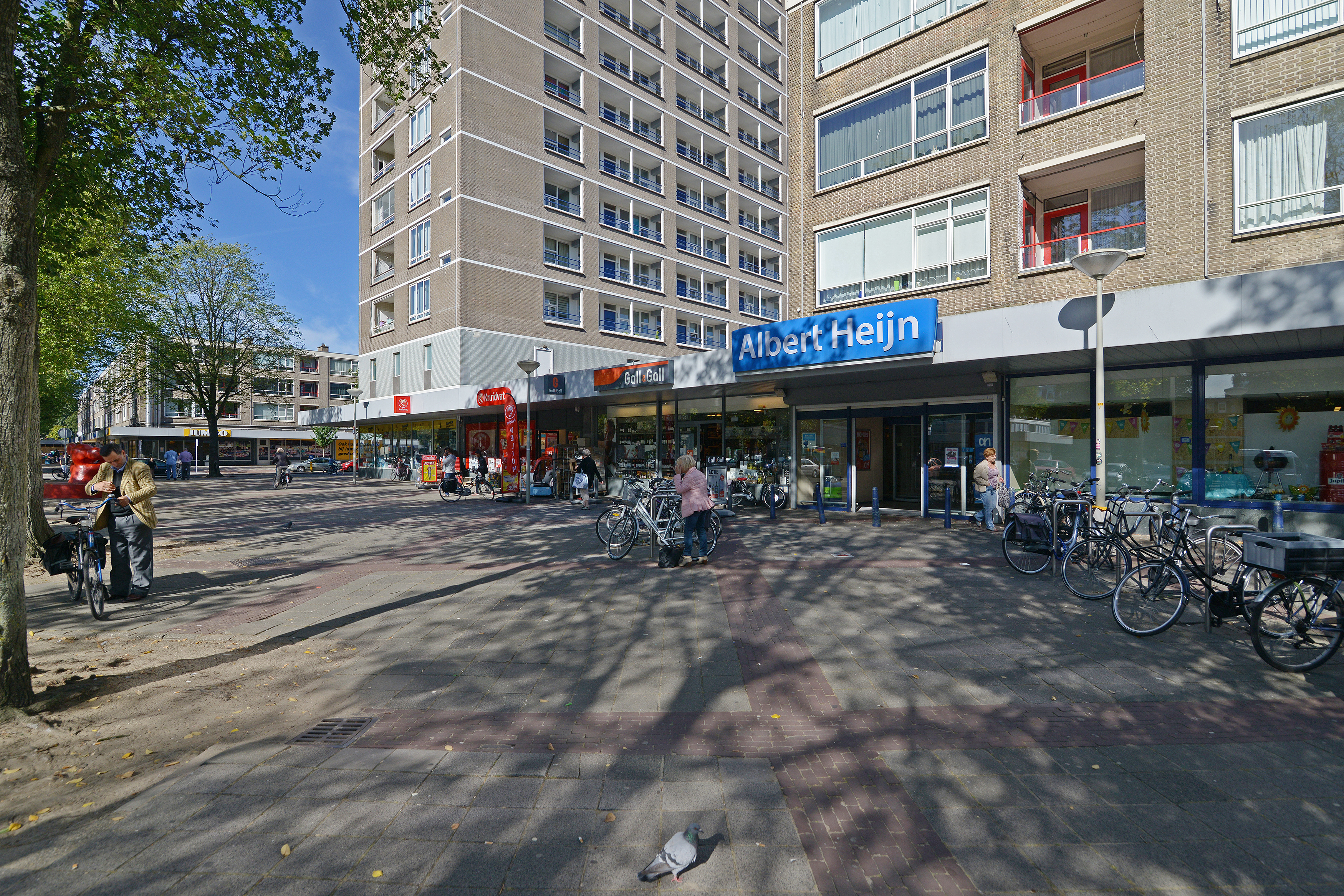 De Dreef 241