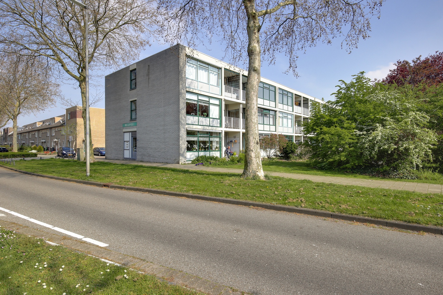 Donkergroen 3
