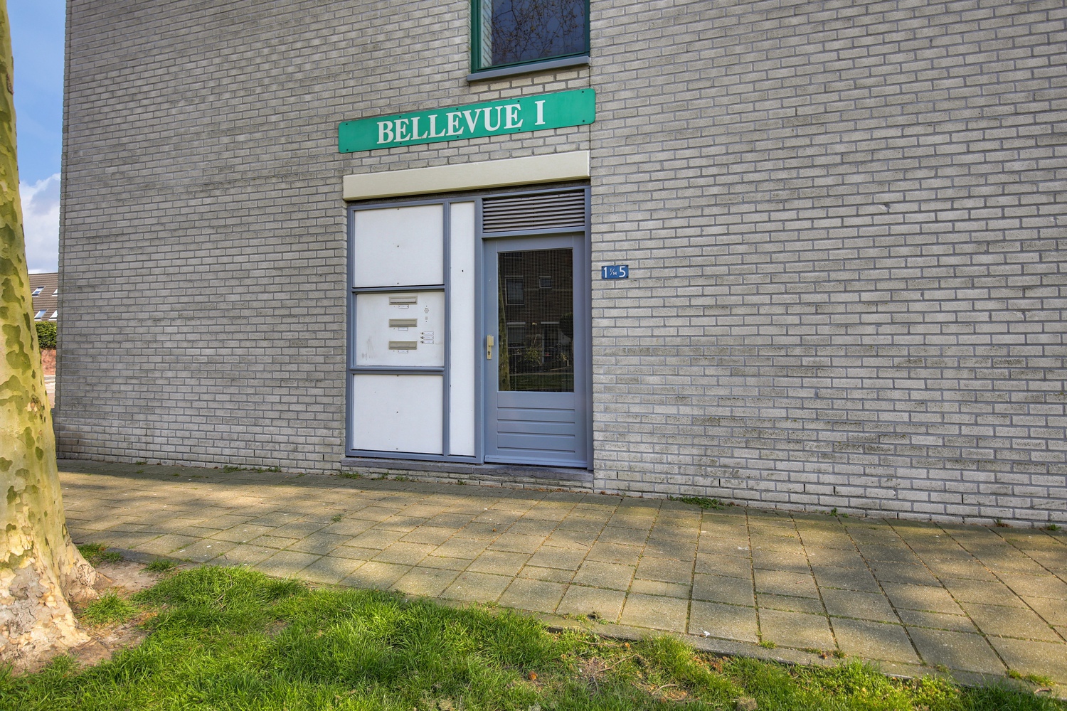 Donkergroen 3