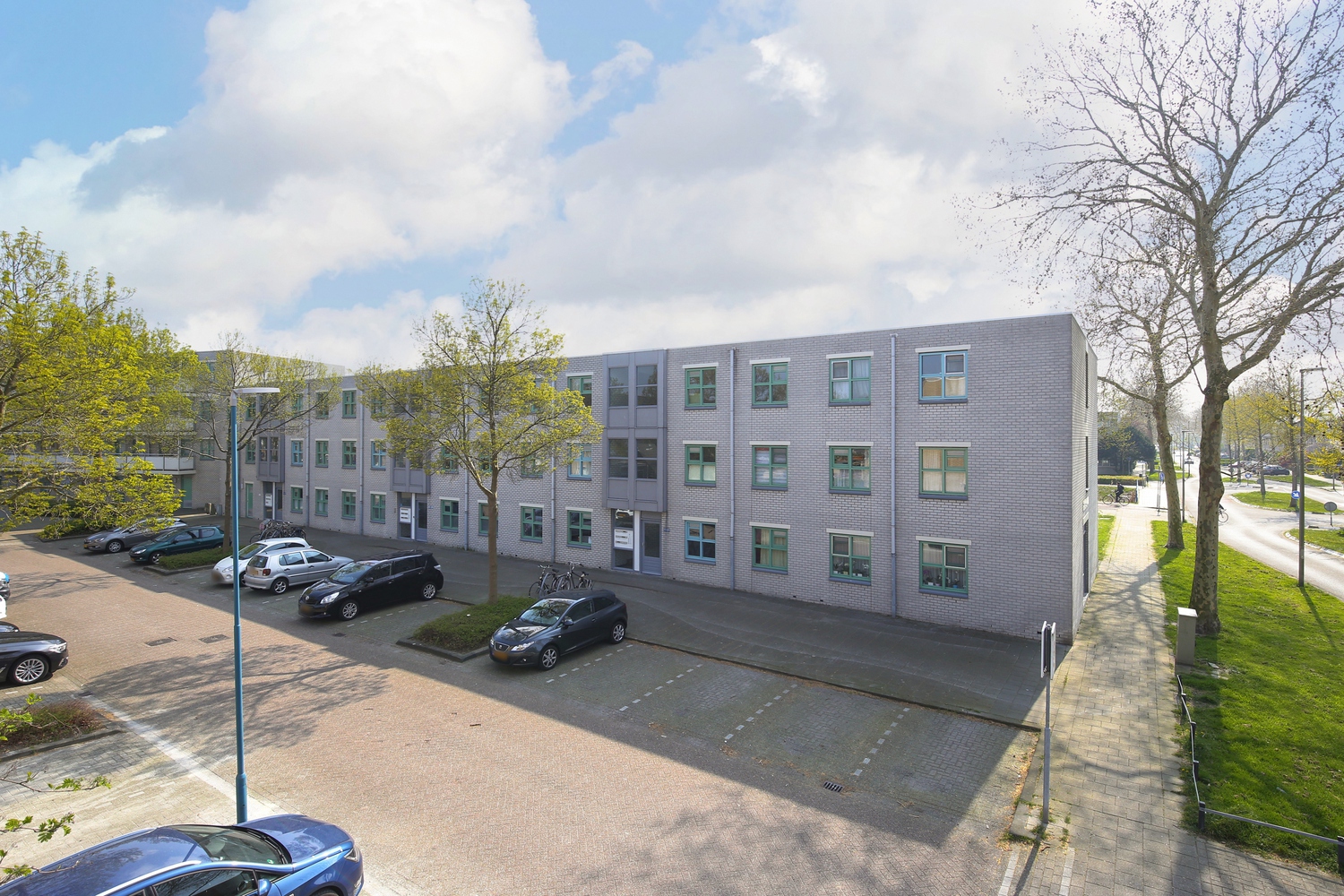 Donkergroen 3