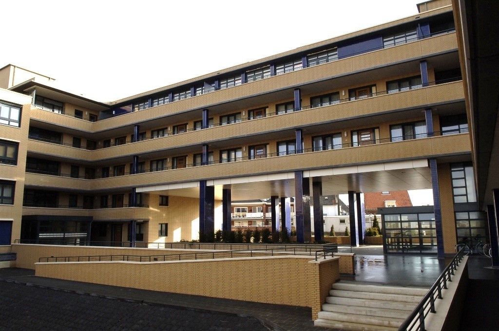 Slangekruid 49