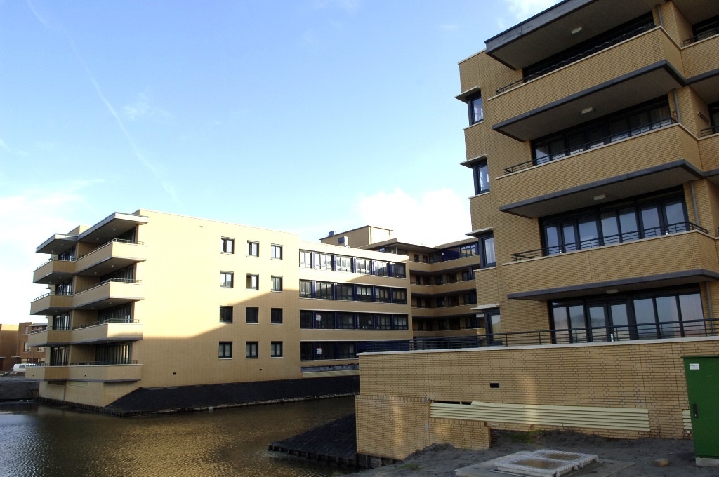 Slangekruid 49