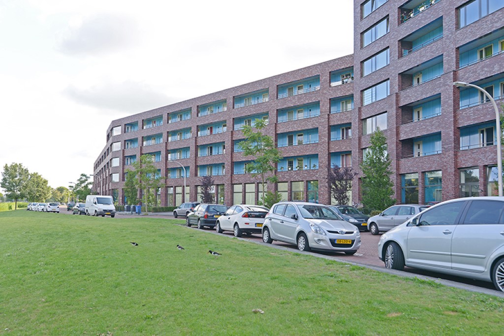 Knobbelzwaansingel 141, 2496 LN Den Haag, Nederland
