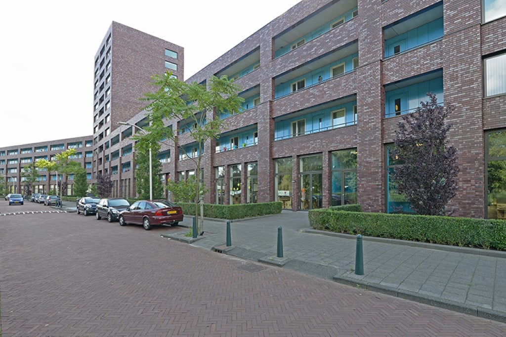 Knobbelzwaansingel 141
