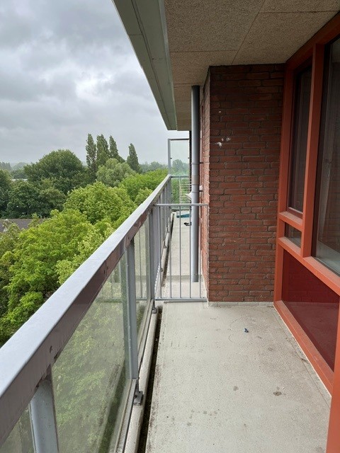 Zagwijnpad 126