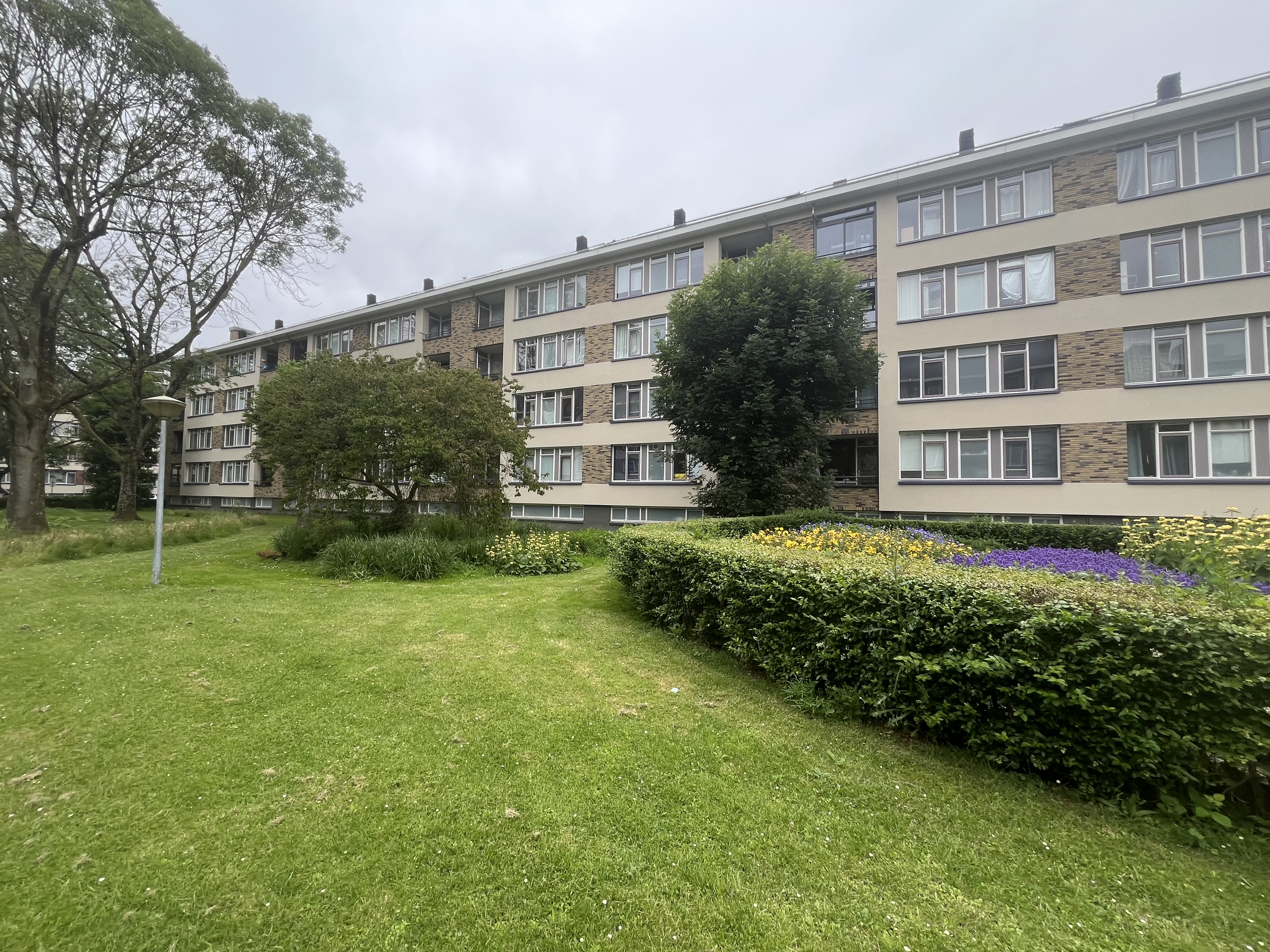 Mandolinestraat 83, 2287 ET Rijswijk, Nederland