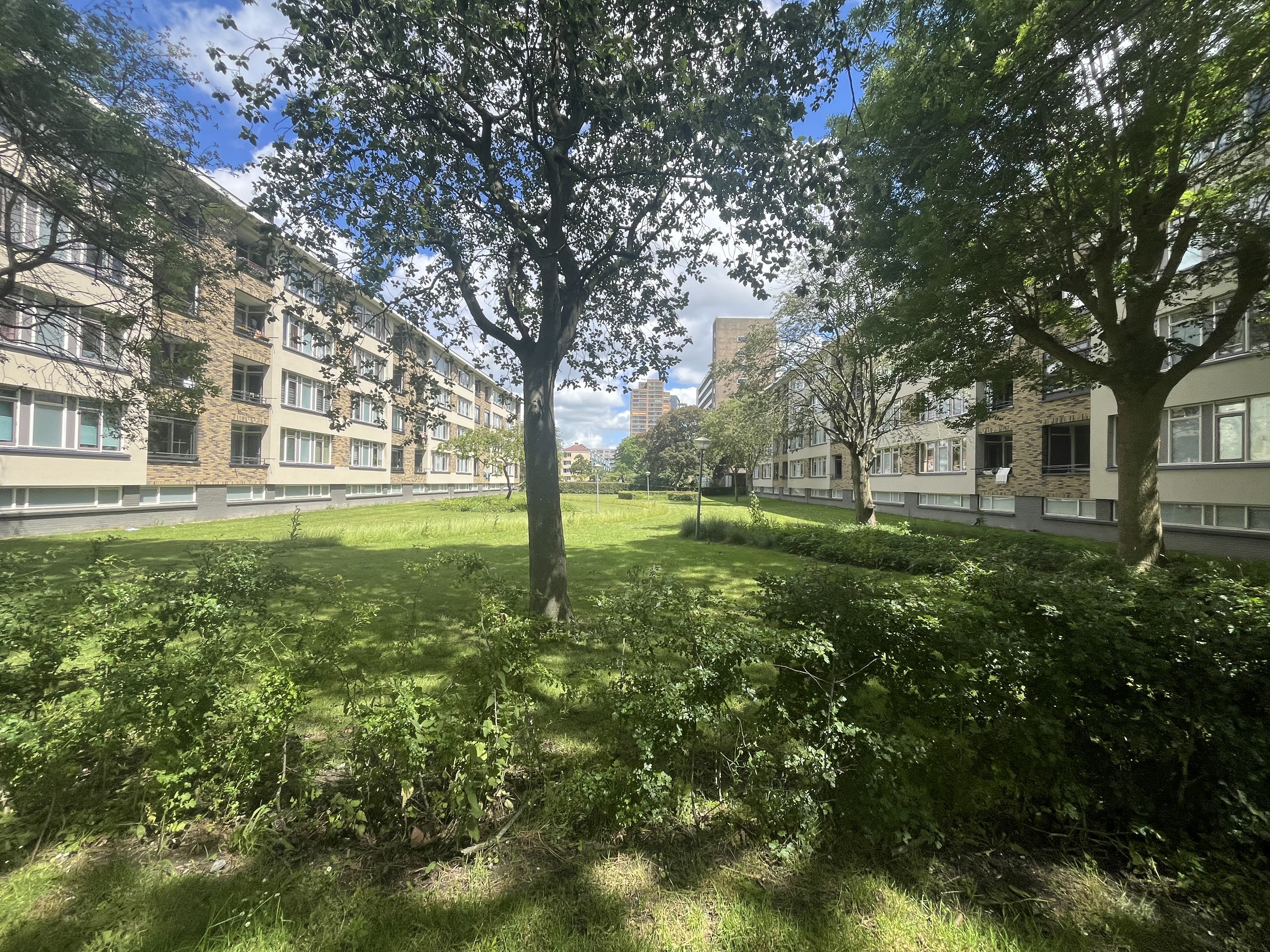 Tubasingel 164, 2287 CZ Rijswijk, Nederland