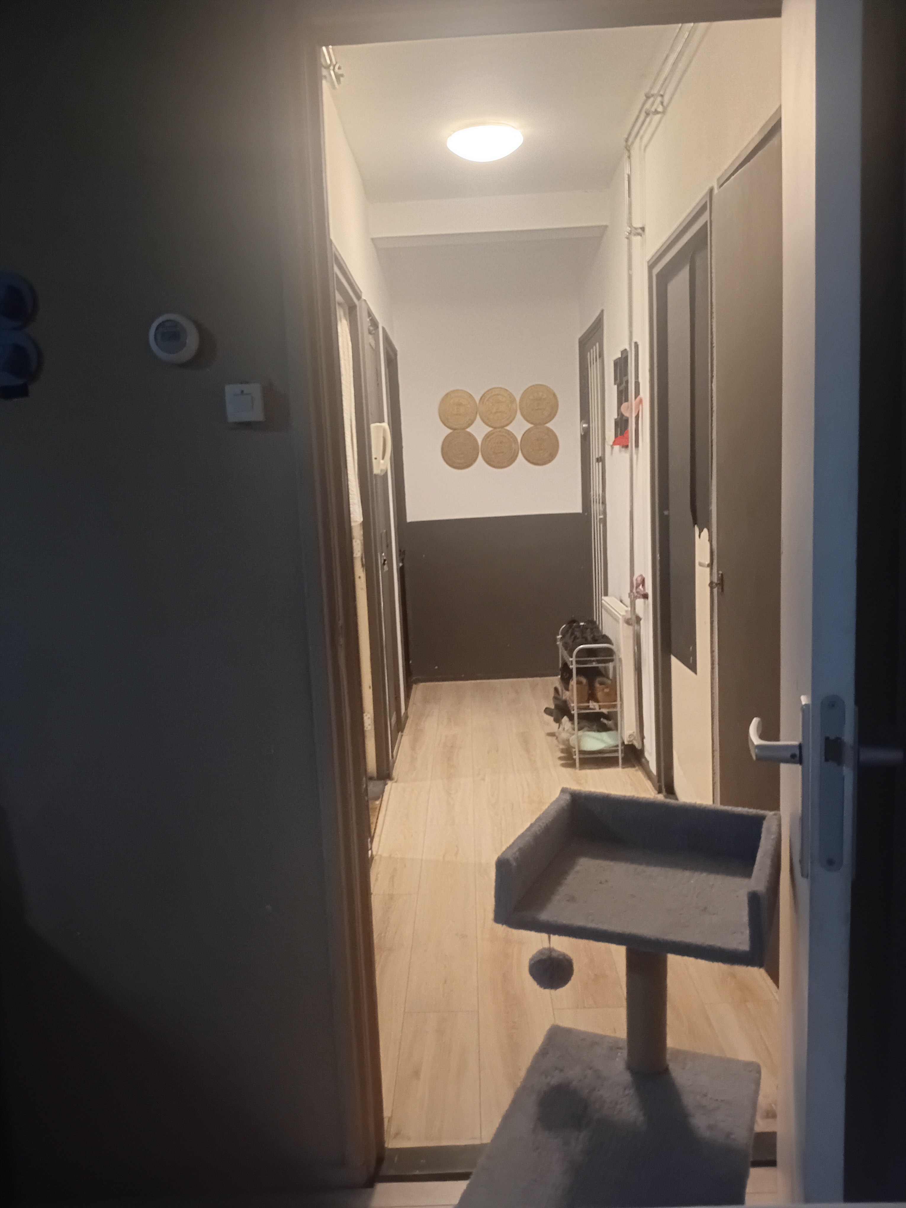 Loevesteinlaan 169, 2533 AJ Den Haag, Nederland