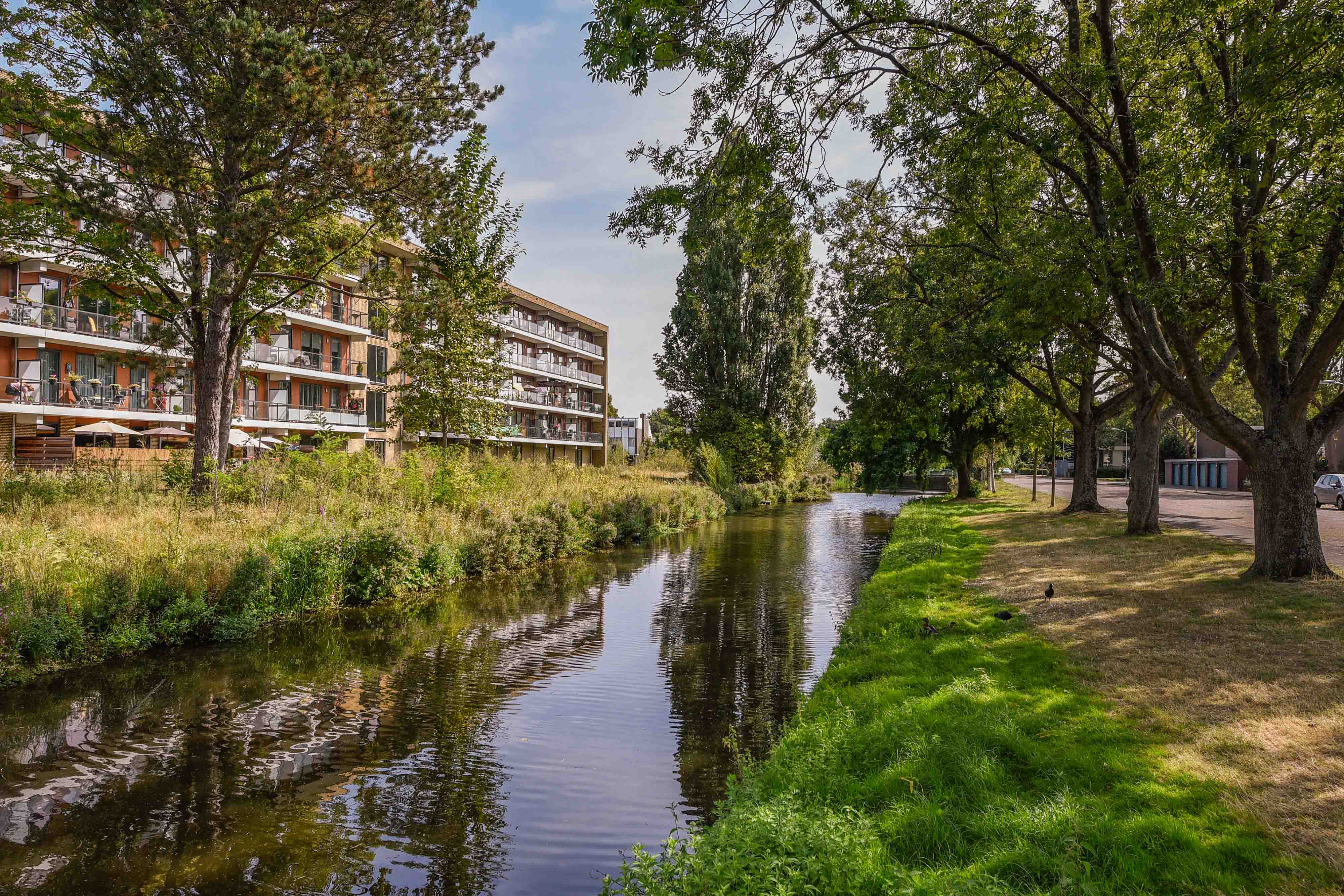 Rijnlandpad 40