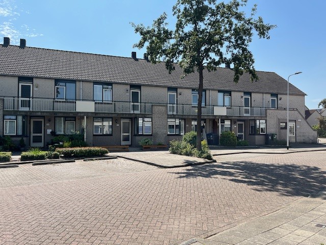 Meerkoet 158