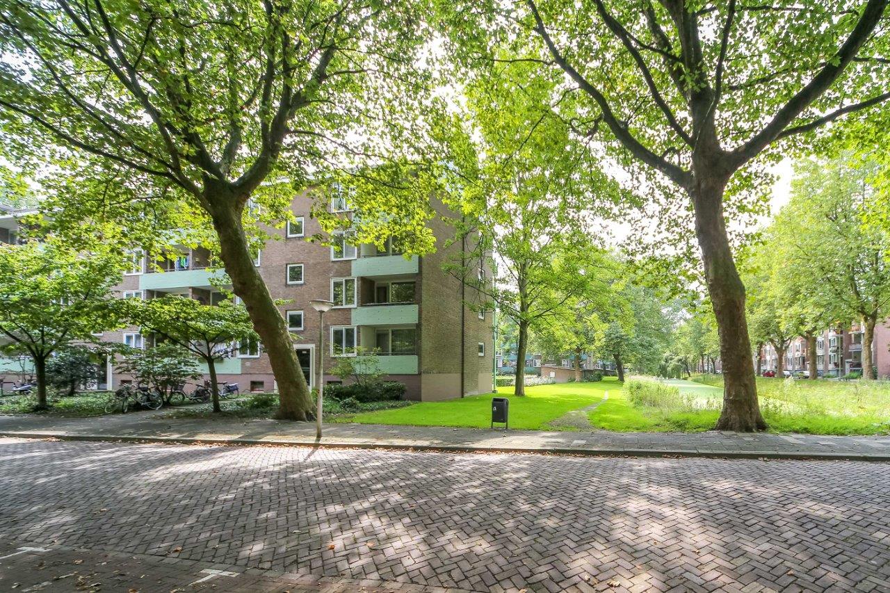 Professor Hoogewerfflaan 9
