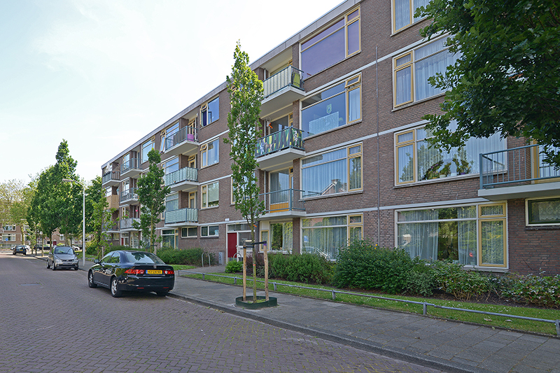Cornelie van Zantenstraat 235