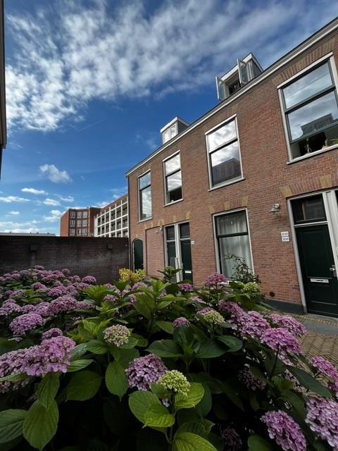 Prinsegracht 206, 2512 GH Den Haag, Nederland