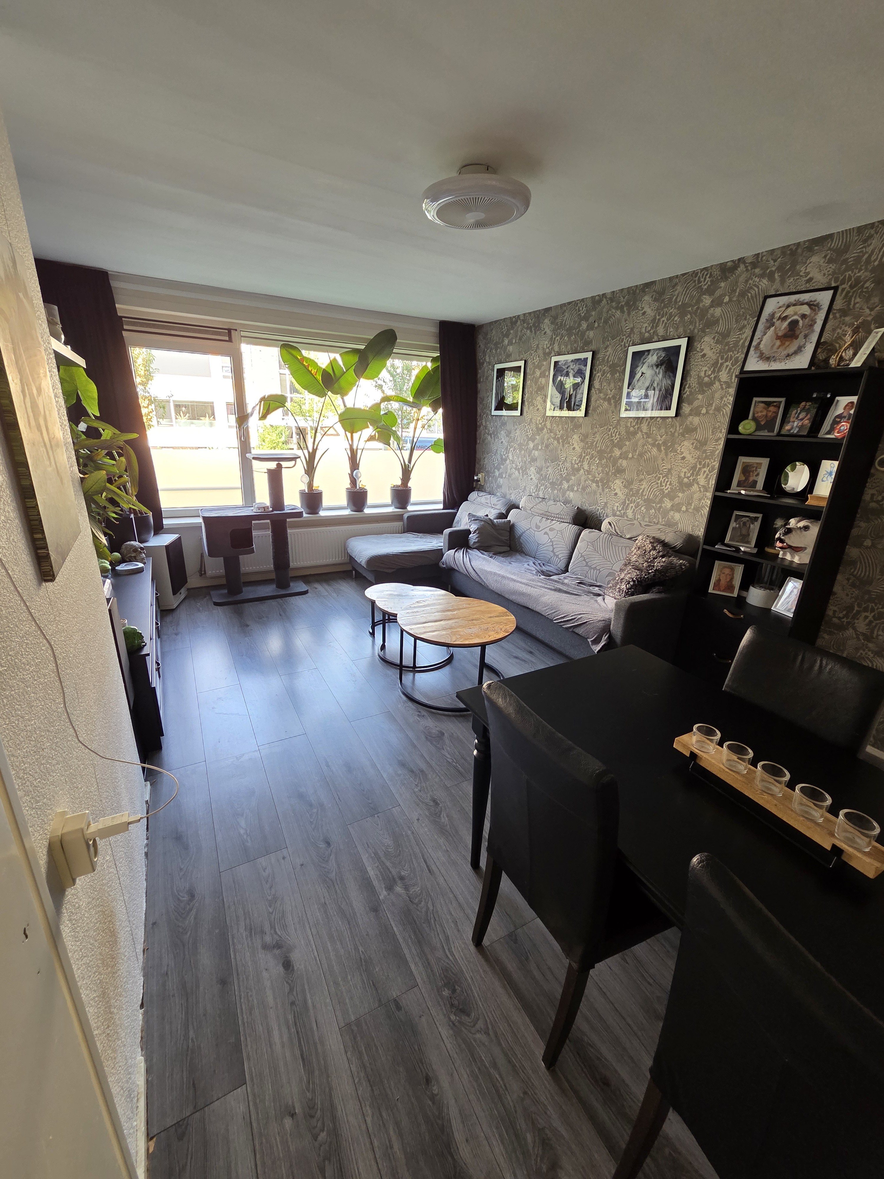 Pisuissestraat 18, 2284 VK Rijswijk, Nederland