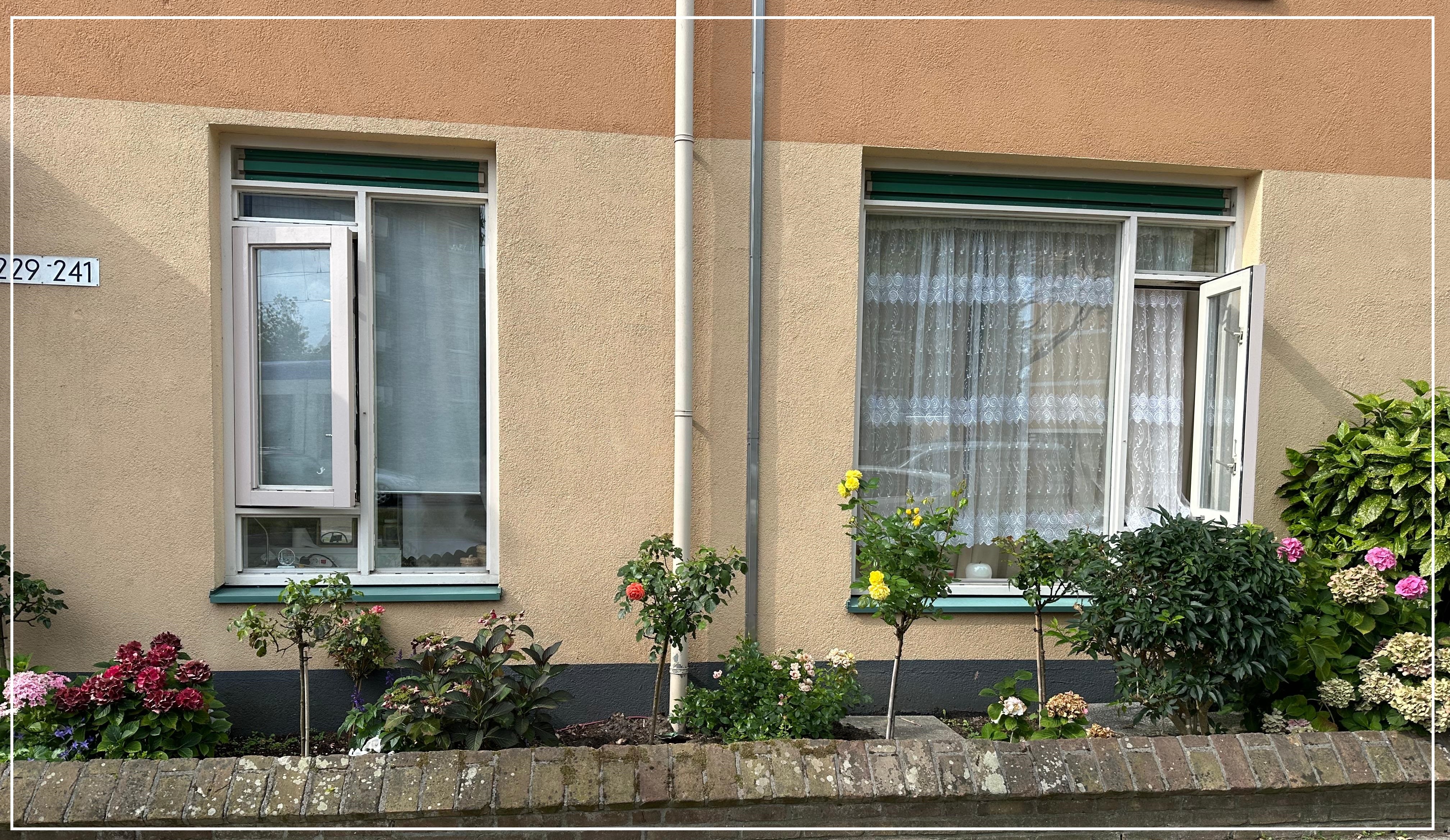 Pisuissestraat 237
