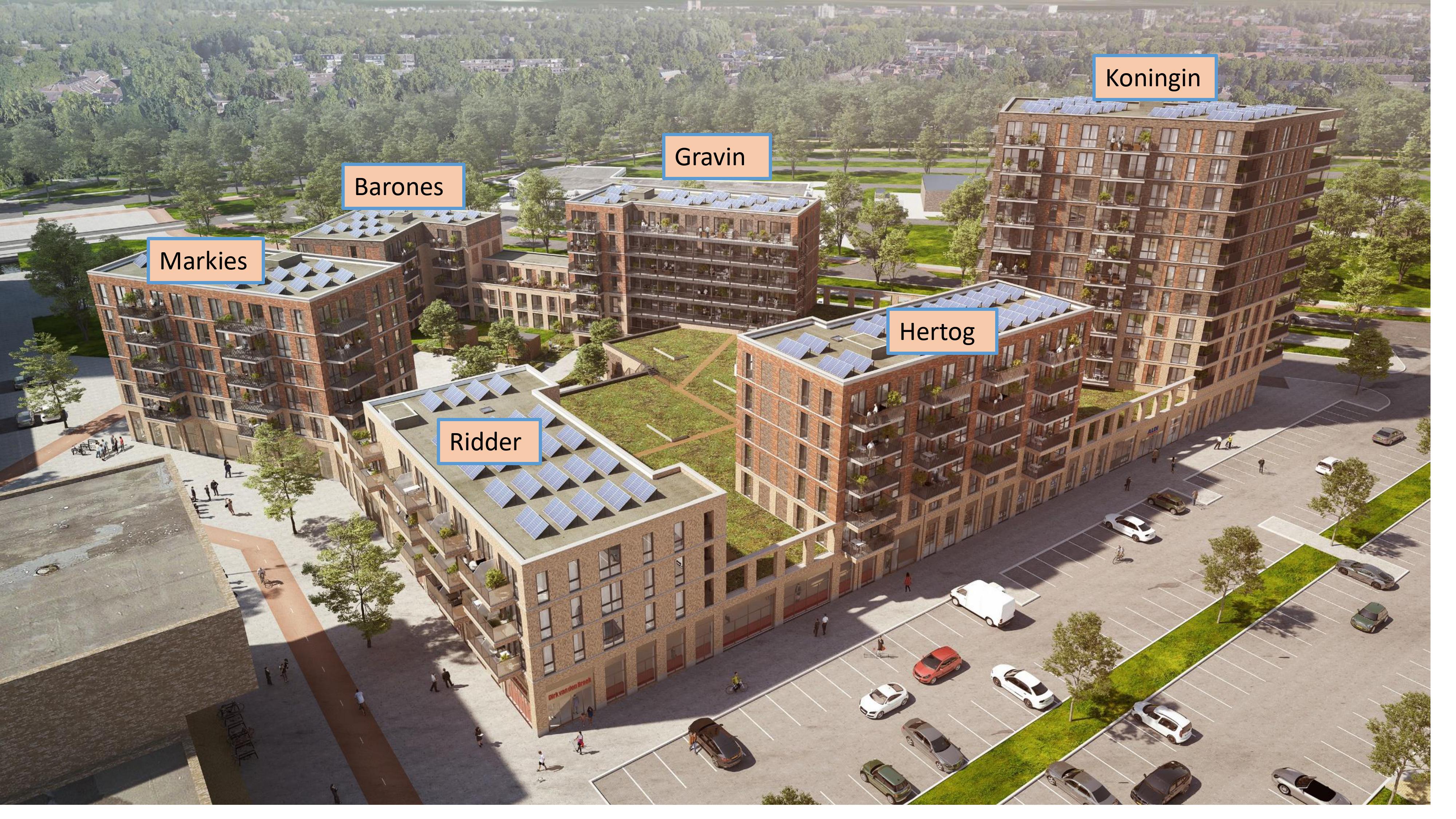 private-rentals for rent on Rakkersveld 204