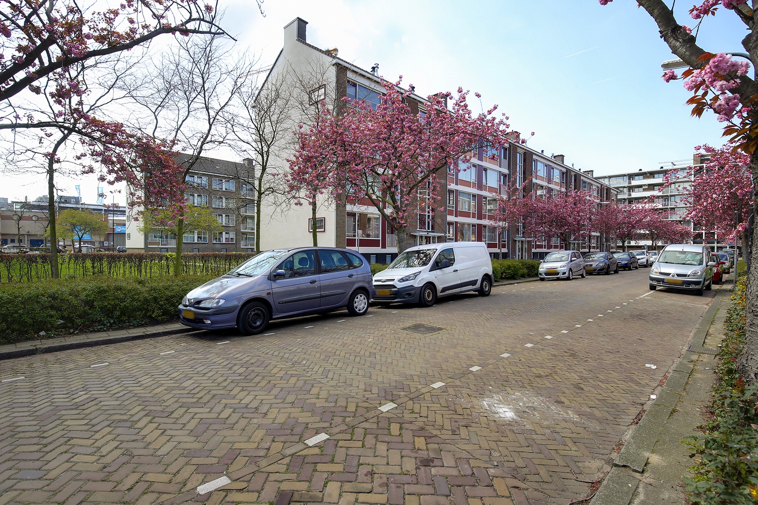 Pisuissestraat 40