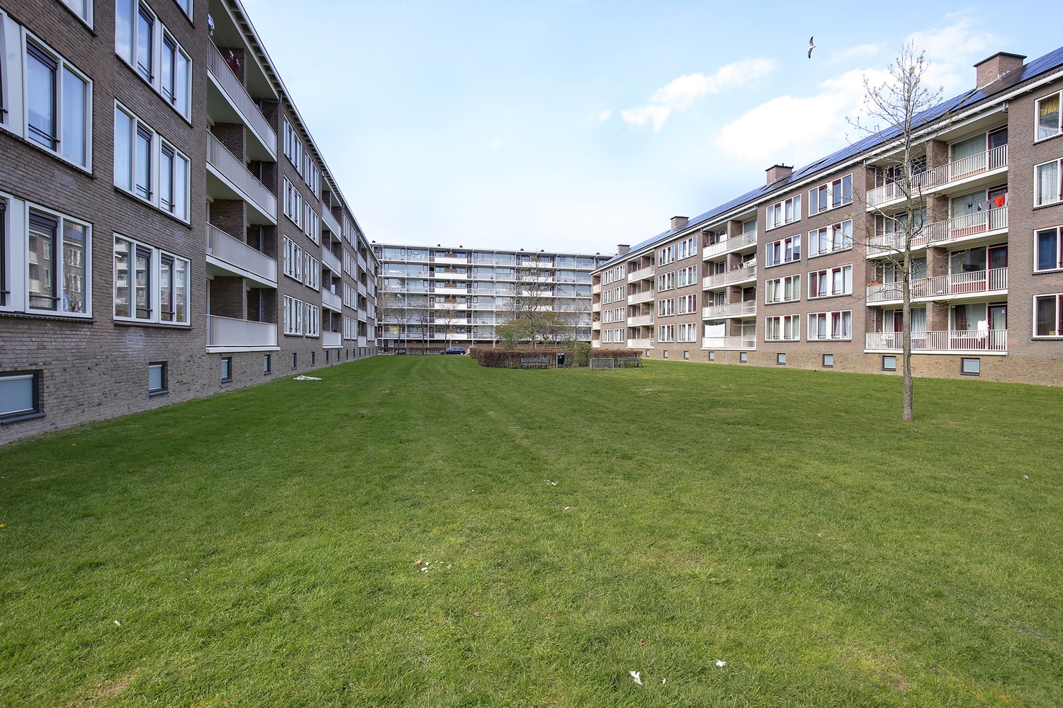 Pisuissestraat 40