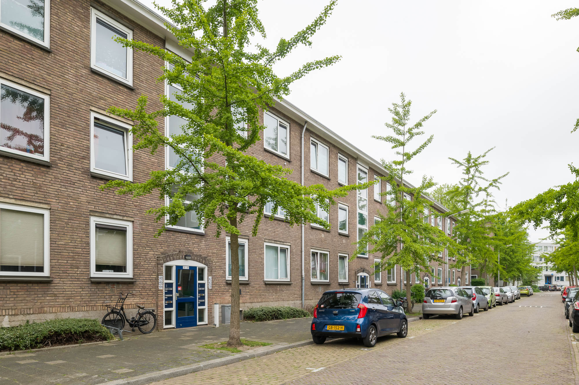Gerardus de Haenstraat 64