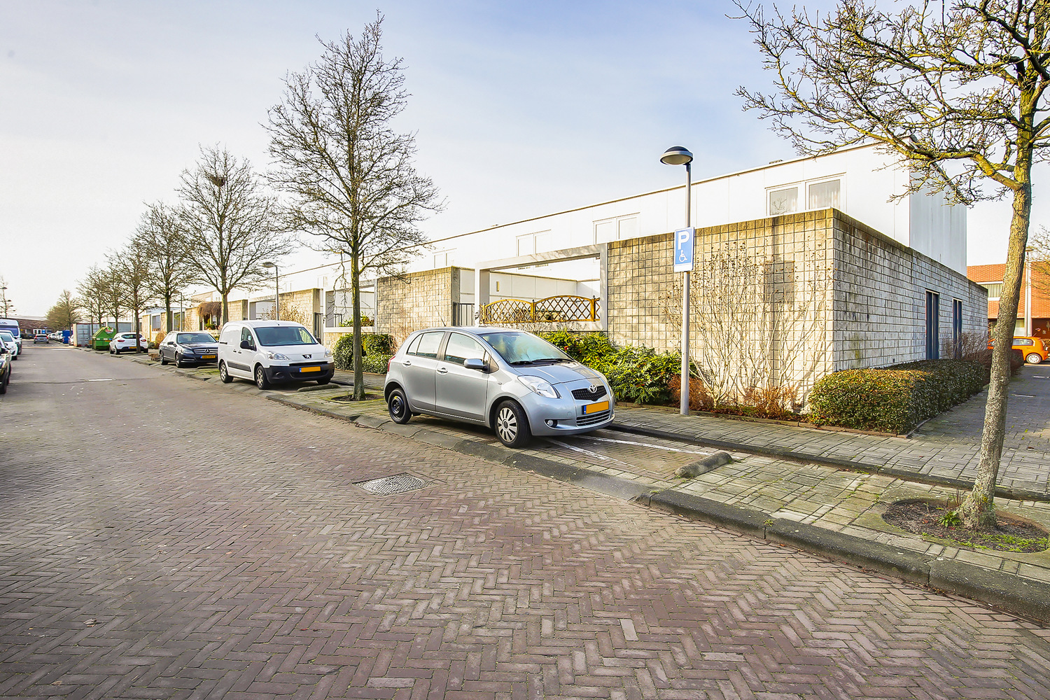 Brilduikerstraat 27