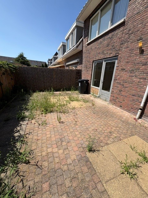 Orchideehof 25