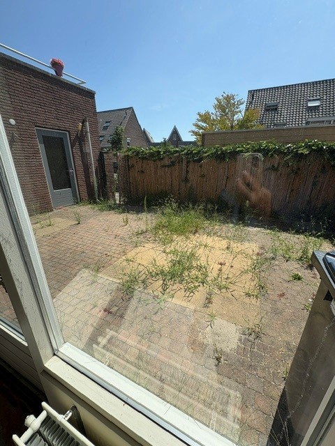 Orchideehof 25